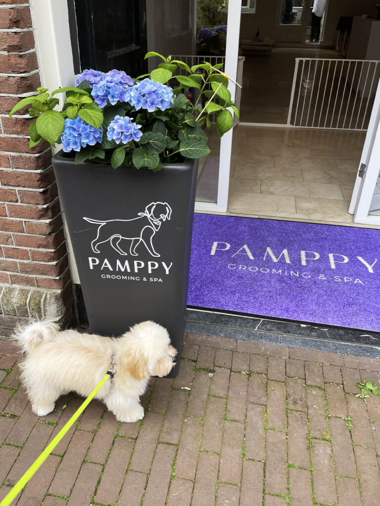 Dog Grooming & Spa PAMPPY